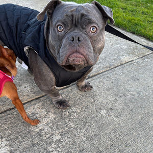 Meet your Posher, Jacobo